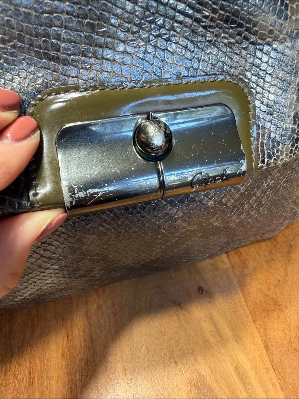 Coach Old Money 2011 Kristin Python Embossed Leather Tote Bronze